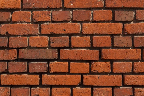 arka plan olarak bir tuğla duvar