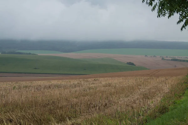 Rain cloud over cropped field