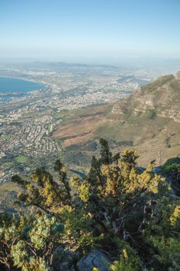 Baharda Güney Afrika seyahat