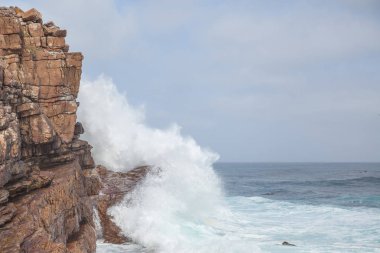 Baharda Güney Afrika seyahat