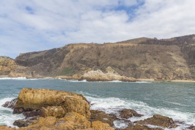 Baharda Güney Afrika seyahat