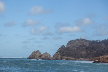 Baharda Güney Afrika seyahat