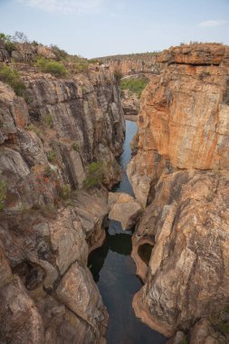 Baharda Güney Afrika seyahat