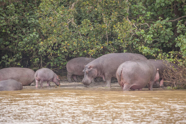 В ЮАР наступила весна
