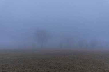 Kışın kar geri kalanı ile manzara
