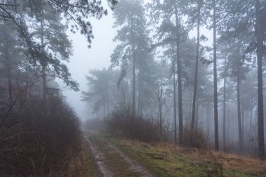 Kışın kar geri kalanı ile manzara