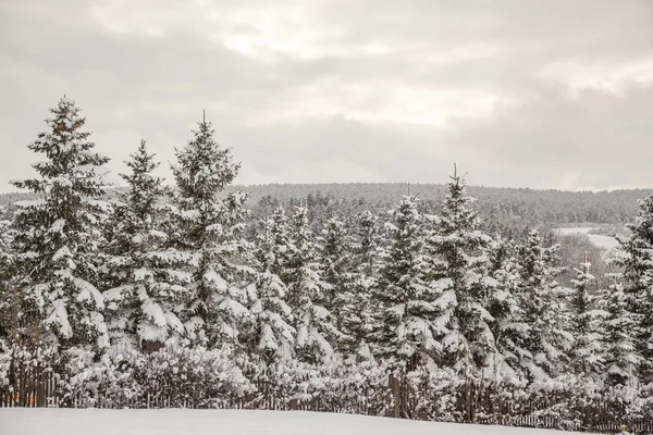 हिवाळी लँडस्केप — स्टॉक फोटो, इमेज