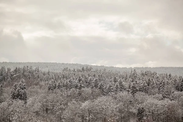 हिवाळी लँडस्केप — स्टॉक फोटो, इमेज