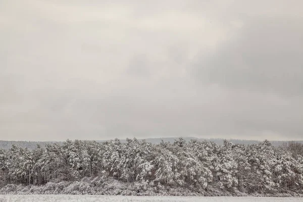 Paisagem no inverno — Fotografia de Stock