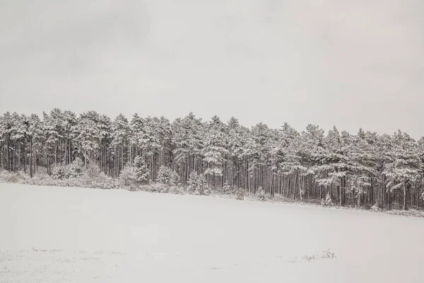 Paisaje en invierno —  Fotos de Stock