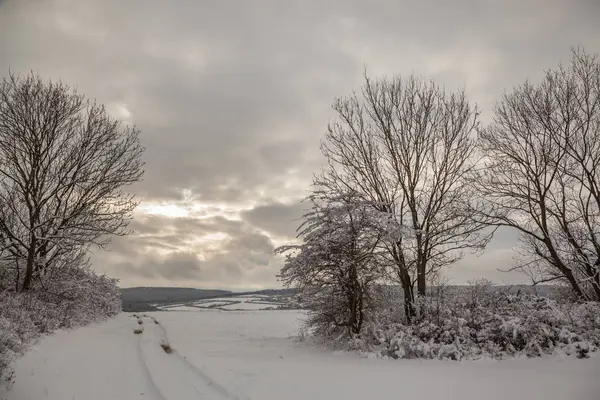 Paisaje en invierno — Foto de Stock