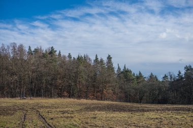 Kışın kar olmadan manzaralı panorama