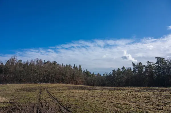 Kışın kar olmadan manzaralı panorama