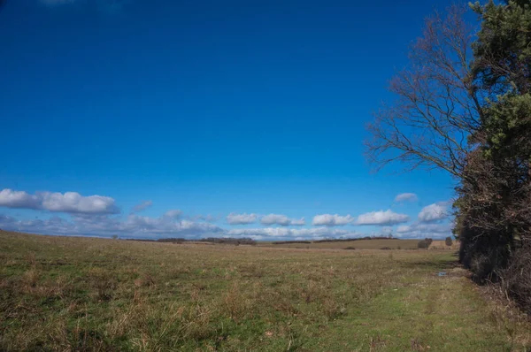 Landschaftspanorama Winter Ohne Schnee — Stockfoto