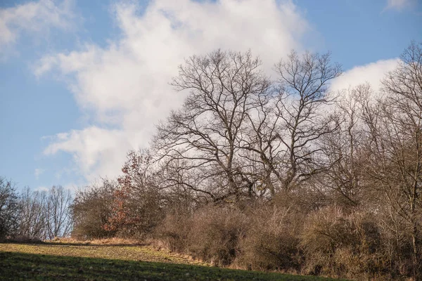 Landschaftspanorama Winter Ohne Schnee — Stockfoto