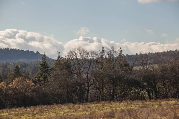 Kışın kar olmadan manzaralı panorama