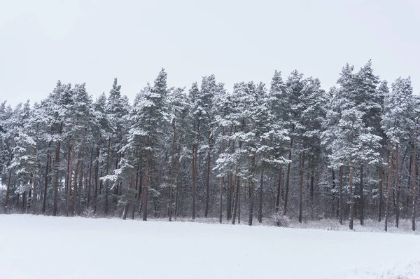 Paisagem Inverno — Fotografia de Stock