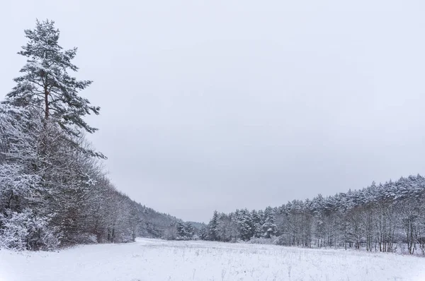 冬季的风景 — 图库照片