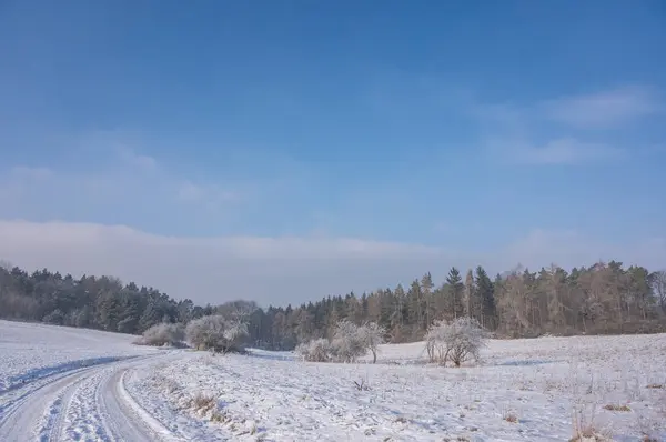 Paisaje Invierno — Foto de Stock