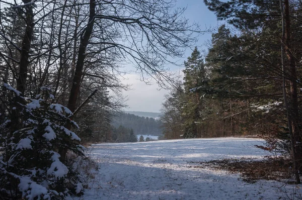 Krajobraz Zimą — Zdjęcie stockowe