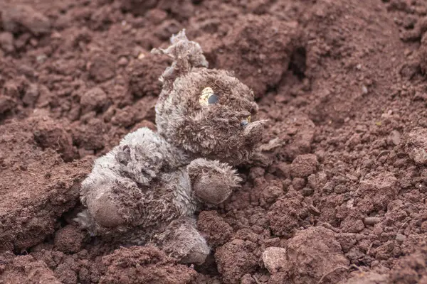 Viejo Perro Peluche Roto — Foto de Stock