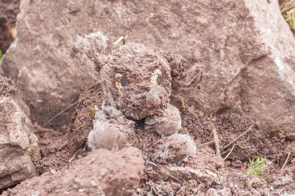 Viejo Perro Peluche Roto — Foto de Stock