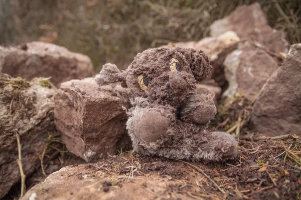 Eski Kırık Peluş Köpek — Stok fotoğraf