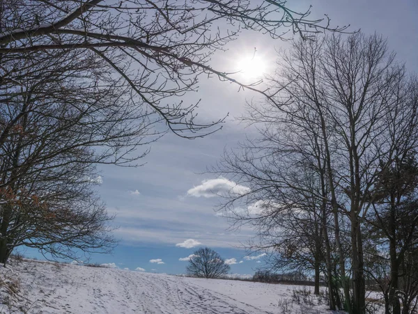 Paisaje Invierno —  Fotos de Stock