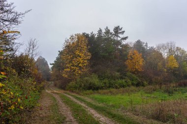 Sonbahar elbisesi içinde manzara