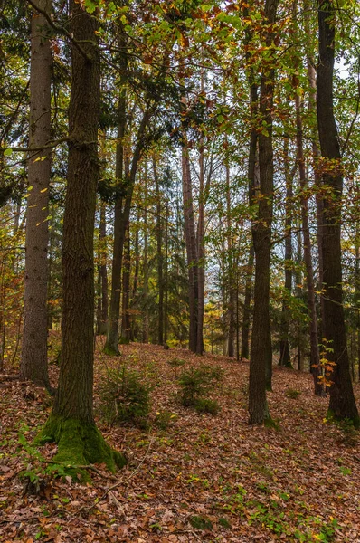 Landschaft Herbstlichen Gewand — Stockfoto