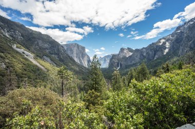 Yosemite Milli Parkı güneşli bir günde