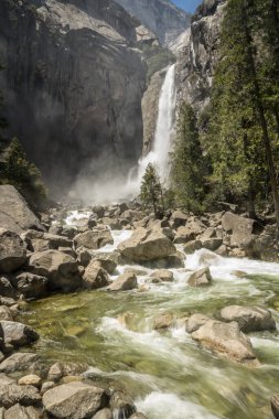 Yosemite Milli Parkı güneşli bir günde