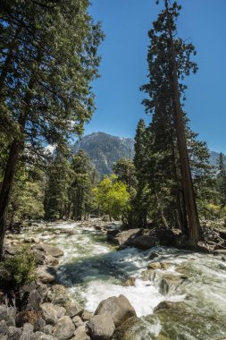 Yosemite Milli Parkı güneşli bir günde