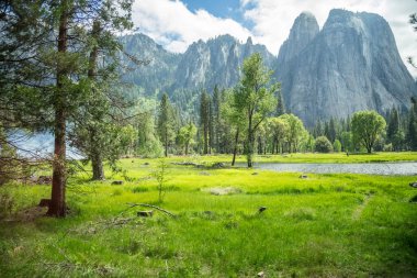 Yosemite Milli Parkı güneşli bir günde