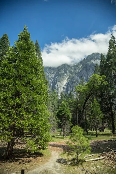 Yosemite Nationalpark Solig Dag — Stockfoto