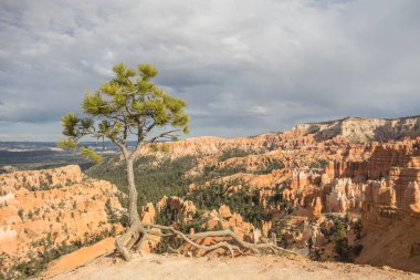 Bryce Kanyonu Baharda