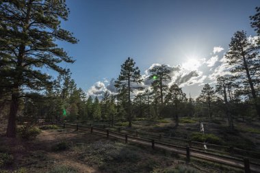 Bryce Kanyonu Baharda