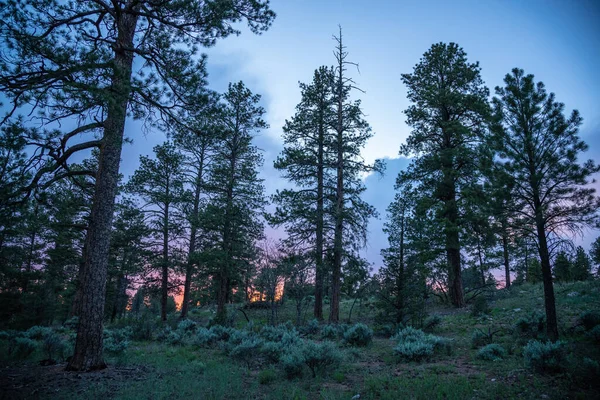 Frühlingslandschaft Den Usa — Stockfoto