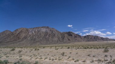 ABD 'de bahar manzarası