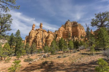 Bryce Kanyonu Baharda