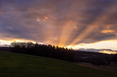 Bahar uyanışı için manzara