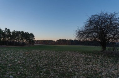 Bahar uyanışı için manzara