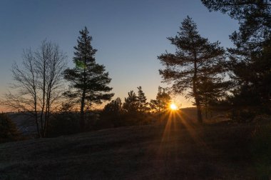 Bahar uyanışı için manzara