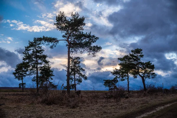 Landschap Voor Het Ontwaken Lente — Stockfoto