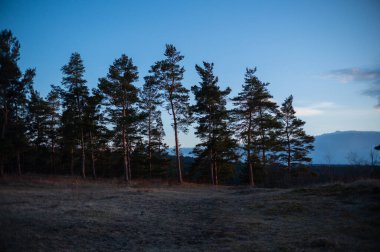 Bahar uyanışı için manzara