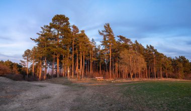 Bahar uyanışı için manzara