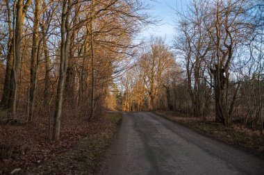 Bahar uyanışı için manzara