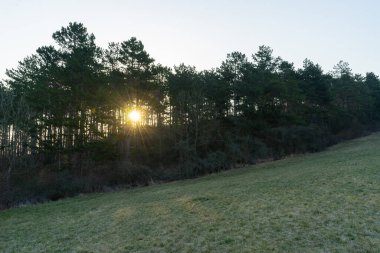 Bahar uyanışı için manzara