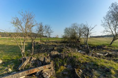 Bahar uyanışı için manzara