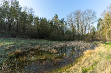 Bahar uyanışı için manzara
